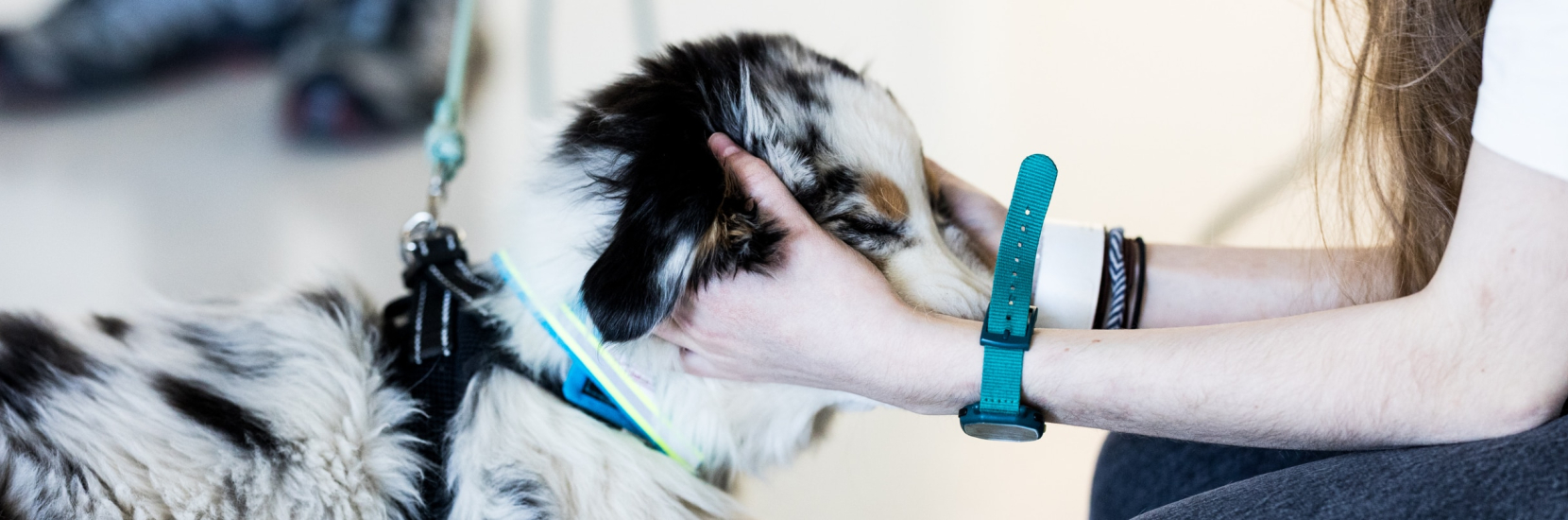 Chiens thérapeutiques : une nouvelle approche en pédopsychiatrie au CHL